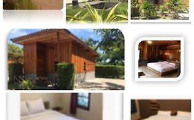 Chill Chill Resort